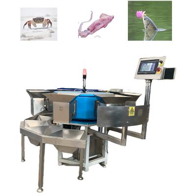 China Fish Processing Plant Automatic live crab shrimp martin aquatic  basket   seafood fish sorting grading machine for sale