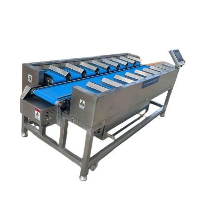 China Snack food factory Automatic Conveyor Belts  Scale Batch Weigher for Combination Weighing Plastic Bag Food for sale