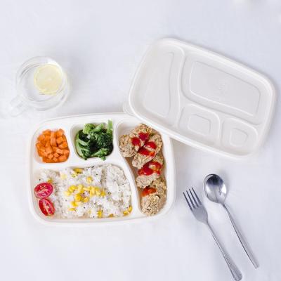 China Hot Sale Biodegradable Lunch Box Microwave Cornstarch Biodegradable Food Container For Takeout for sale