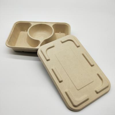 China Stocked Perfect For Meals To Go Biodegradable Straw Pulp Food Container Takeout Storage Maid Food Box for sale