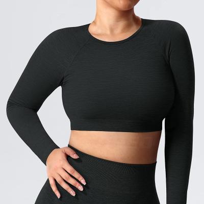 China Seamless Long Sleeve Belly Fitness Blouse Women's Breathable Yoga Top for sale