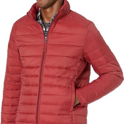 China Viable Men's Down Lightweight Waterproof Packable Jacket for sale