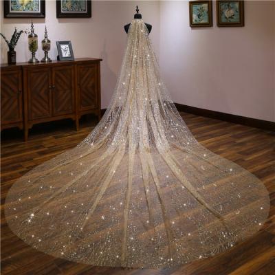 China Soft Touch Long Champagne Wedding Tulle Veils High Quality Soft Bridal Veils for sale