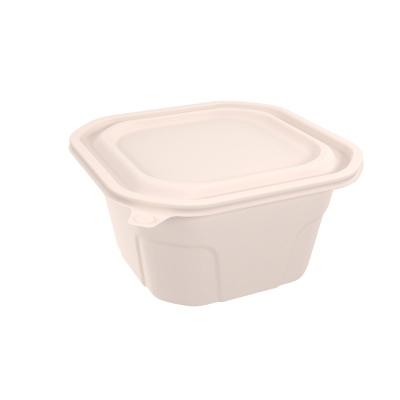 China Square Biodegradable Custom Disposable Cornstarch Lunch Box Biodegradable Food Packaging Container for sale