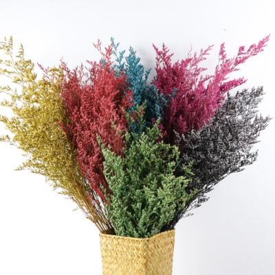 China Preserved Limonium Natural Dry Material Wedding Decorative Flowers Lovegrass Bouquet Decorative Handmade Arrangement Flowers Home Real for sale