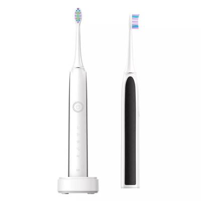 China Teeth Cleaning Manufacturer Wholesale Toothbrush Automatic Brush Electric Toothbrush China Power Battery Time Adult Soft Waterproof Parts for sale