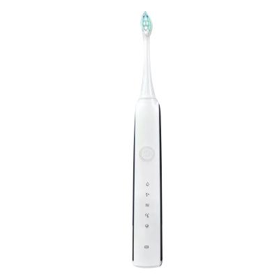 China Teeth cleaning portable fashion electric toothbrush adult rechargeable electroacoustic toothbrush for sale