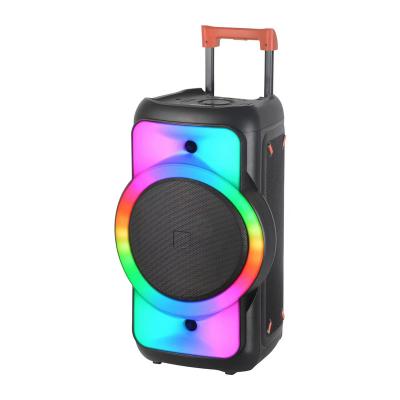 China No Loudspeaker Portable Karaoke Outdoor High Power Trolley Speaker With Wireless Microphone for sale