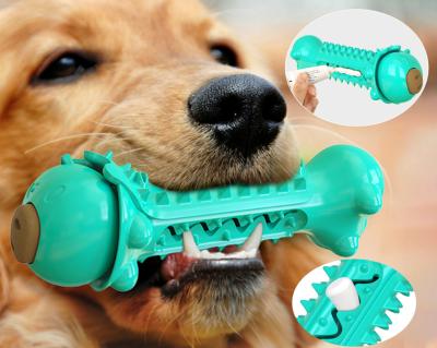 China 2021 Viable Calming Down Dog Toys For Dog-teeth Aggressive Clean Toy TPR Molar Teeth Chewers Toughest Interactive Dog Toys For Dog-Teeth for sale