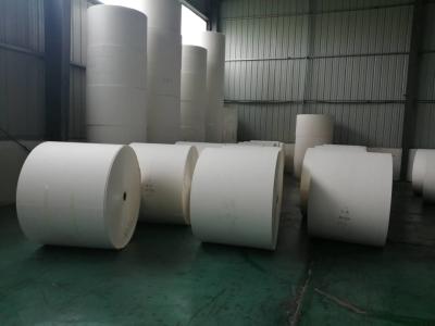 Cina Il PLA tagliato 150GSM-350GSM resistente di acqua del rotolo di carta patinata in vendita