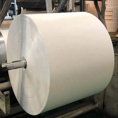 Cina 170gsm alla materia prima della tazza di carta del rivestimento del PE 280gsm ha personalizzato in vendita