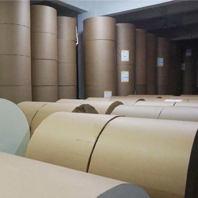 China Pe Coated Paper Cup Raw Material Eco Friendly Food PE Paper Roll for sale