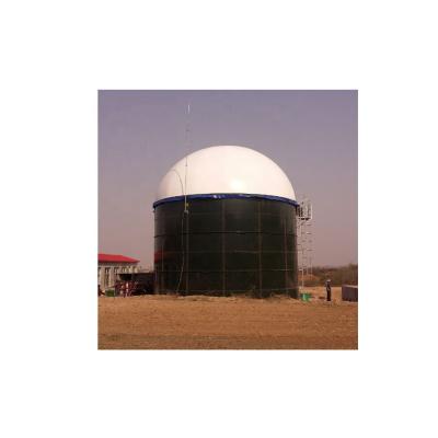 China Wholesale Hotels Plant Biogas 1000m3 Digester Tank for sale