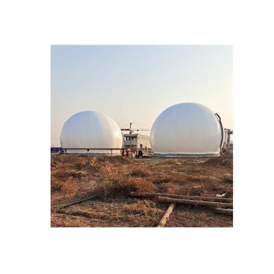 China Industry fuel biogas fermentation storage tank for sale