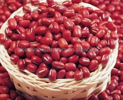 China Small Dry Red Adzuki Bean China Bean for sale