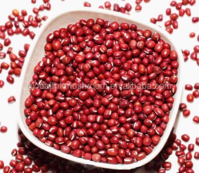 China Adzuki beans dry all kinds of beans for sale