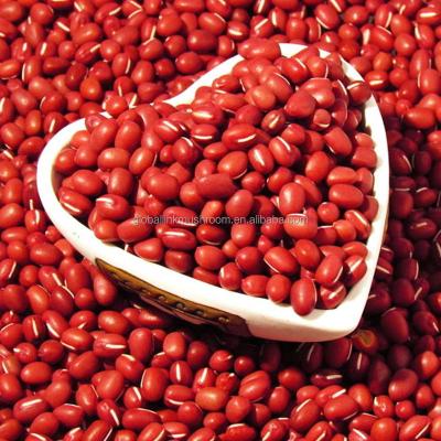 China Small dry adzuki beans hotsale for sale