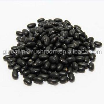 China Best Price Crop Dried Black Kidney Beans for sale