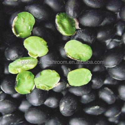 China Dried black kidney bean with green core for sale