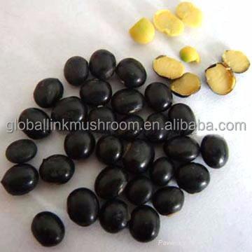 China Dry yellow kernel of black bean for sale