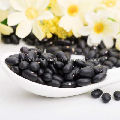 China Wholesale New Culture Dried Chinese Black Kidney Beans for sale