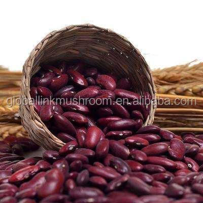 China Low price dry dark red kidney bean for sale