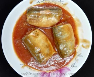 China Canned Canned Mackerel In Tomato Sauce Canned Fish China Factory for sale