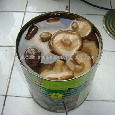 China Fresh Wholesale Canned Shitake Mushroom Whole, Slice, Quarter Pieces for sale