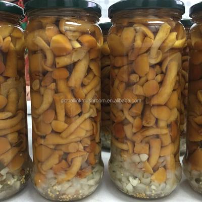 China Fresh canned marinated mushrooms from nameko for sale