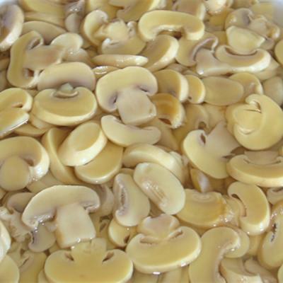 China Mushroom P&S Fresh Canned Champignon Mushroom Pieces and Stems for sale