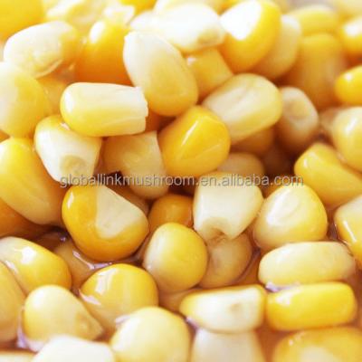 China Canned Corn Kernel 340g Vacuum Pack Fresh Corn for sale