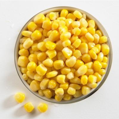 China Canned Whole Fresh Corn Kernel Corn Vacuum Packing Canned Corn for sale