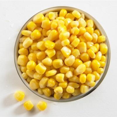 China Canned corn 2500g can for sale