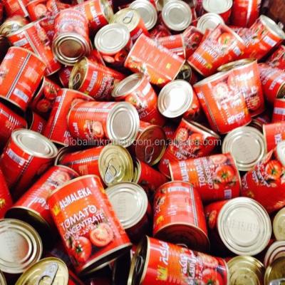 China Canned or tinned tomato sauce to Middle East 70G-4.5KG for sale