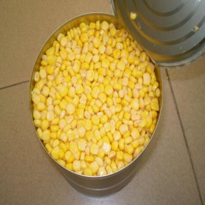 China Canned Corn Canned Food Supplier for sale