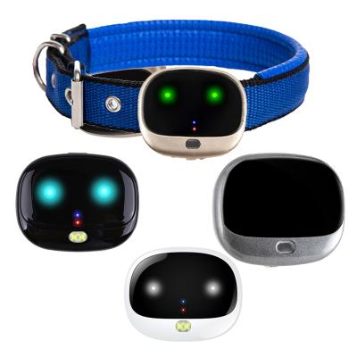 China Sustainable Rechargeable Waterproof Smart Lightweight Dog Tracker Custom IP67 Real Time Tracking 4G GPS Pet Collar for sale