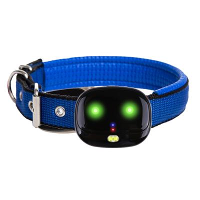 China 4G GPS Dog Viable Waterproof Rechargeable Waterproof Light IP67 Pet Real Time Pet Tracking Collar for sale