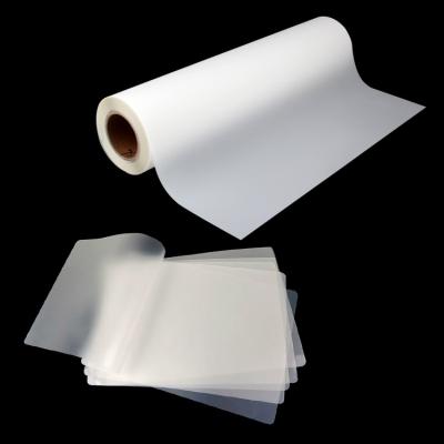 China Single Matte Roll A3 A4 Dtf A3+ Hot Or Cold Rough Film 30cm Side Or Double Side Dtf PET Transfer Paper 75u For L805 L1800 xp600 4720 i3200 for sale