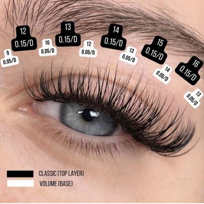 China Long Lash Extensions Profession Las Natural Hot Selling Extension Supplies High Quality Individual Eyelash Extension for sale