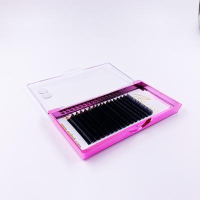 China Professional supplier of full volume hot sale eyelash extension for sale