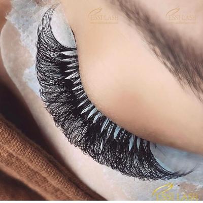 China Private Label Natural Long Eyelash Extension Supplies Extensiones de petanas Lashes Lash Trays Professional for sale