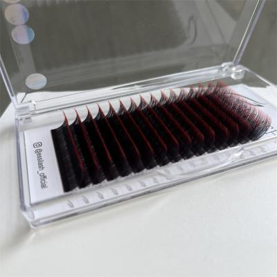 China Full Volume Red Ombre Colored Private Label Colored Volume Mix Color Russian Individual Eyelash Extension for sale