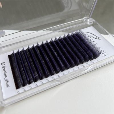 China Full Volume Purple Ombre Colored Private Label Colored Volume Mix Color Russian Individual Eyelash Extension for sale