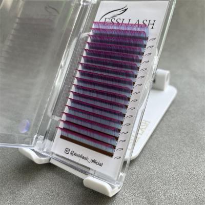 China Colored Full Volume Eyelashes Shadow Private Label Colored Russian Individual Volume Mix Color Eyelashes Extension for sale