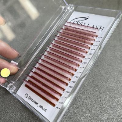 China Full Volume Ombre Colored Eyelashes Private Label Colored Russian Individual Volume Mix Color Eyelash Extension for sale