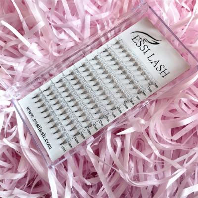 China Full Volume 6D Pre-Made Fan Eyelash Extensions High Quality And High End Market for sale