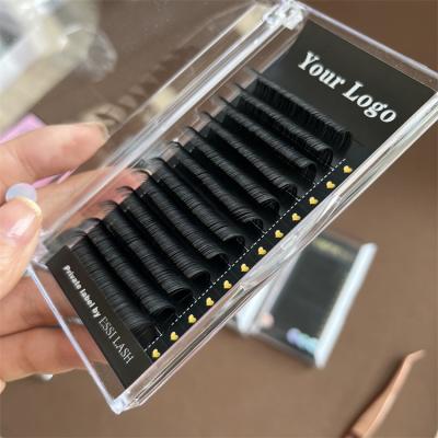 China Best Full Volume Doubt Soft Tip Ellipse Classic Hot Selling Flat Licks for sale