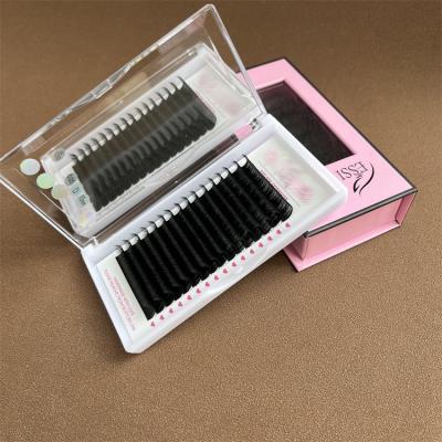 China Korean Individual Eyelash Extension Long Cashmere Natural Wholesale Flat Eyelash Extensions PBT In Stock for sale