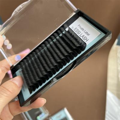 China Full Cashmere Mink Eyelash ESSI LASH Doubt Tip Flat Classic Volume Highlight Extension for sale