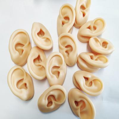 China Durable Human Ear Molds Silicone Ears For Earings Show Ear Model for sale